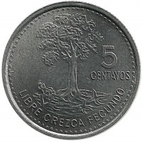 Хлопковое дерево. Монета 5 сентаво. 2009 год, Гватемала.UNC.