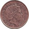 Монета 1 пенни 2009 год. Великобритания.