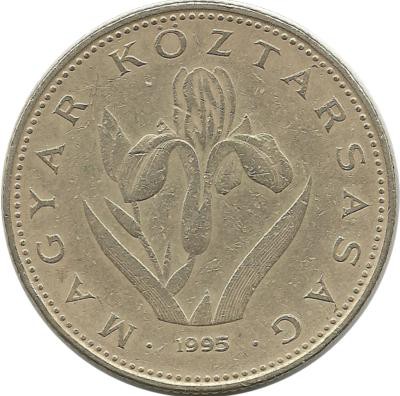 Венгерский Ирис. Монета 20 форинтов. 1995 год, Венгрия.  