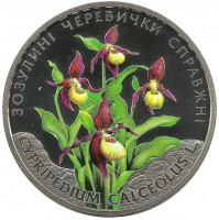 Кукушкины башмачки.   Монета 2 гривны, 2016 год, Украина. UNC.