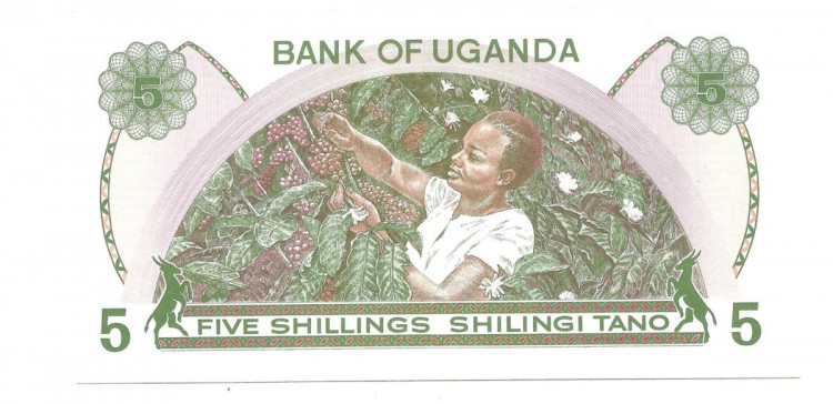 Банкнота 5 шиллингов. 1982 год. Уганда. UNC.  
