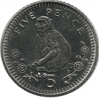 Монета 5 пенсов. 2003 год. (Варварийская обезьяна.) Гибралтар. UNC.