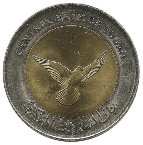 Голубь. Монета 50 пиастров. 2006 год, Судан. UNC.