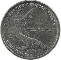 Русский осётр. Монета 1 рубль. 2018 год, Приднестровье. UNC.